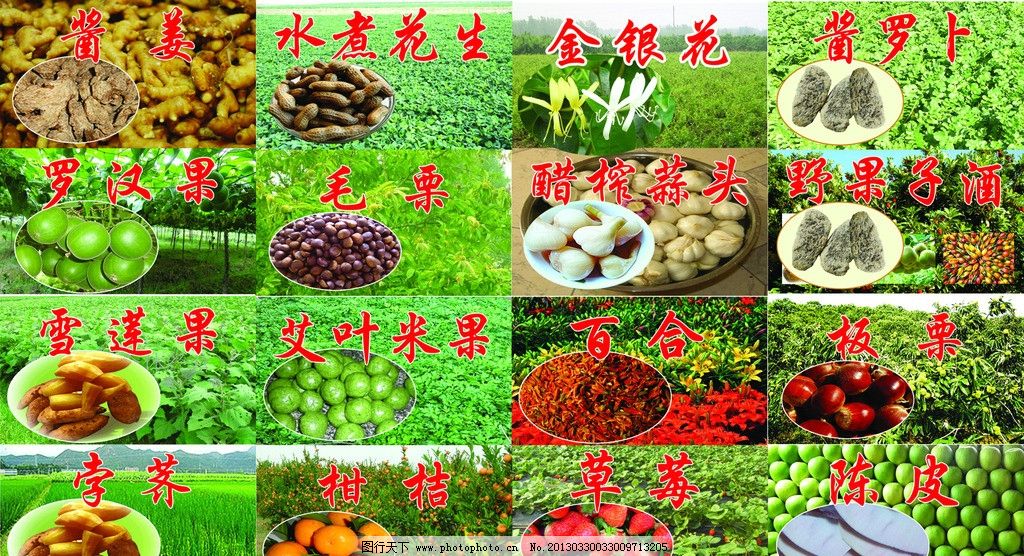 《记忆中的山里红》——那片山野里的土特产图集